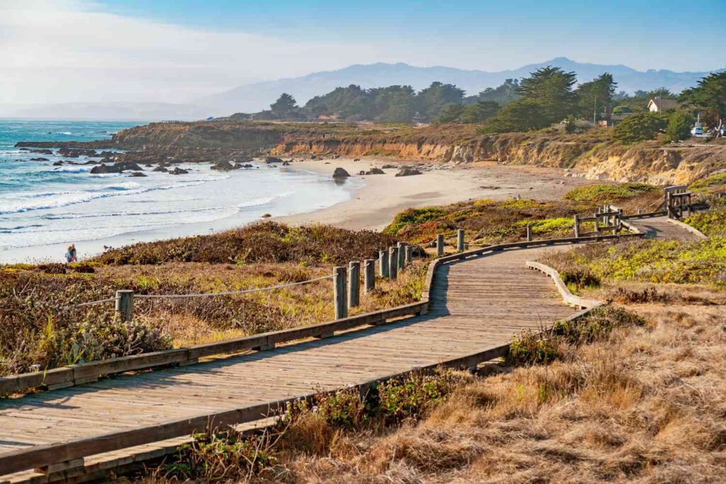 Become a Speech Pathologist in California Become a Speech Pathologist in California